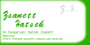 zsanett hatsek business card